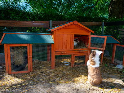 Bild 11 aus  Haus am Kolm