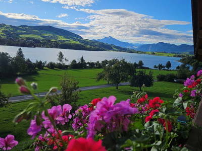 Bild 341 aus  Serner am See