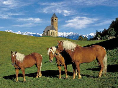 Bild 14 aus  Steinerhof