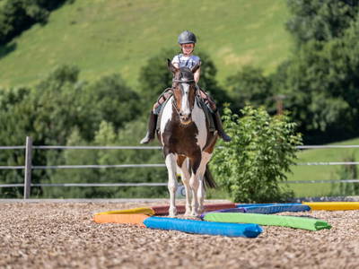Bild 187 aus  Bio Bauernhof Tobhartbauer