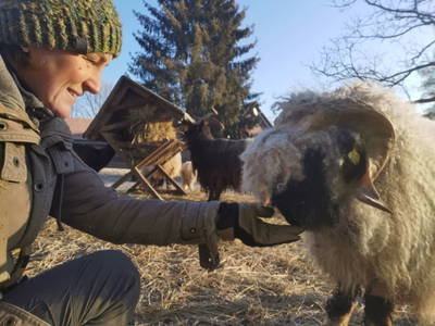 Bild 27 aus  Monschein Demeterweingut