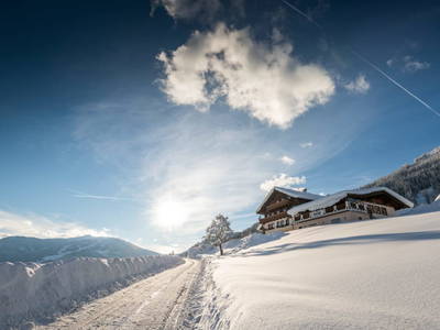 Bild 24 aus  Burnstein
