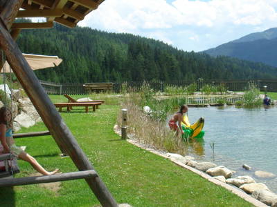 Bild 40 aus  Michlbauer