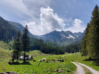 Bild 18 aus  Prechtlerhütte