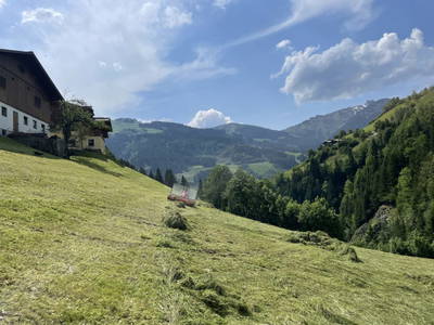 Bild 17 aus  Pfandlinghof