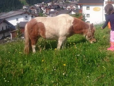 Bild 124 aus  Haus Bernardes