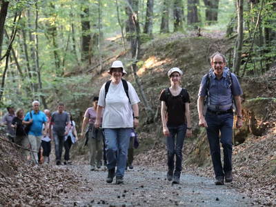 Bild 125 aus  Buchgrabenhof