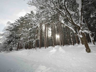 Bild 17 aus  Hacknerhof