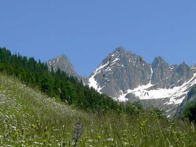 Bild 67 aus  Wiesenhof