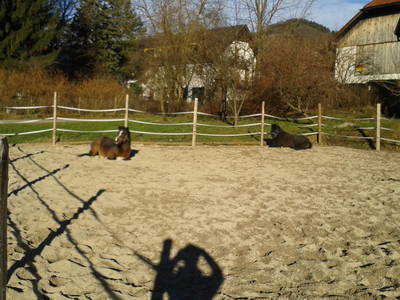 Bild 27 aus  Hof zu Steinern