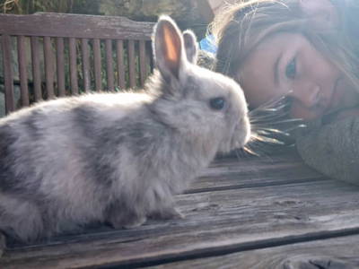 Bild 28 aus  Mortnerhof