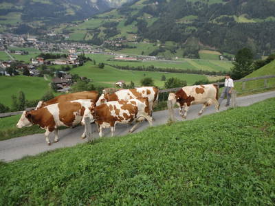 Bild 64 aus  Bethuberhof