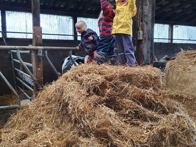 Bild 44 aus  Bauernhofpension Bals