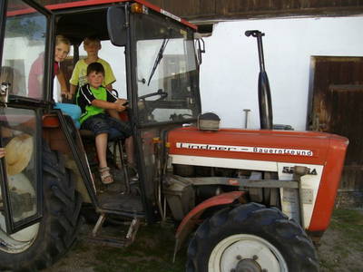 Bild 30 aus  Weifer Biobauernhof