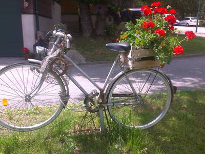 Bild 30 aus  Römerhof