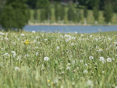 Bild 63 aus  Pension Glitschnerhof