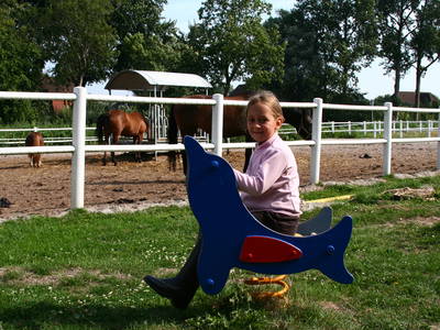 Bild 21 aus  Ferienhof Peter -  Ponys - streicheln, striegeln, füttern  -  Wattwanderungen + ganz viel Nordsee