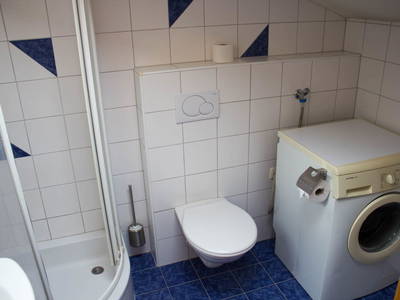 Bild 29 aus  Biobauernhof Mesneranderl