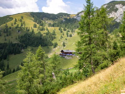 Bild 18 aus  Linsingerhof