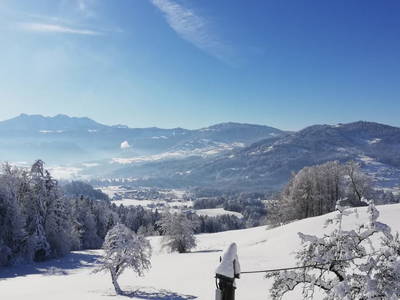 Bild 32 aus  Blickfang Bregenzerwald