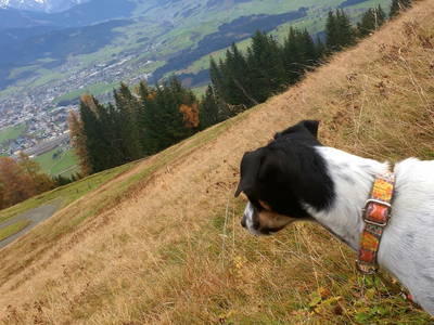 Bild 32 aus Unterbiberghof