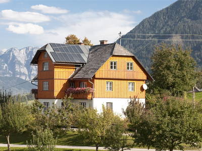 Obstbäume in voller Bracht