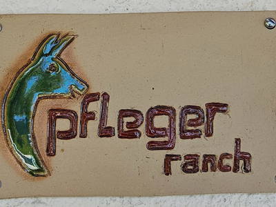 Bild 11 aus  Pfleger Ranch am Schönegg Gut