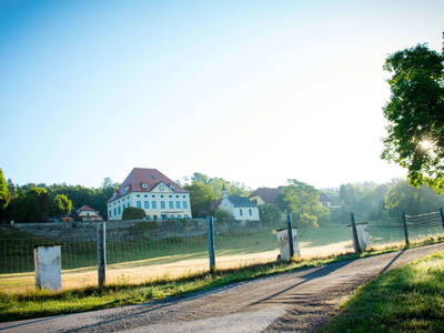 Bild 2 aus  Gut Schloss Ehrenbichl