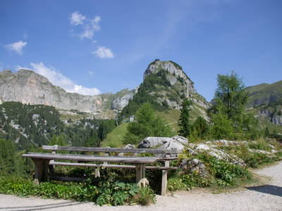 Bild 20 aus  Linsingerhof