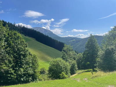 Bild 5 aus  Hanslgrabner