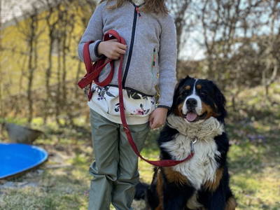 Bild 61 aus  Hoferhof