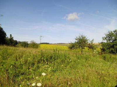 Bild 11 aus  Ferienwohnung Göhl