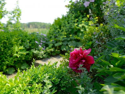 Idylle rund um das Haus