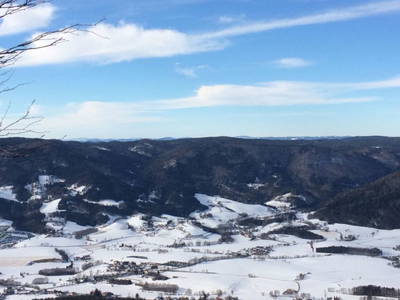Bild 65 aus  1000 Krauthof - Ferienwohnung