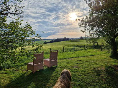 Bild 4 aus  Ferienhaus Plessberg