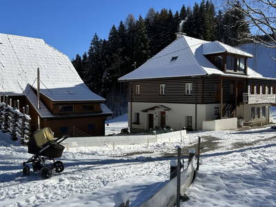 Bild 166 aus  Glatz Hof