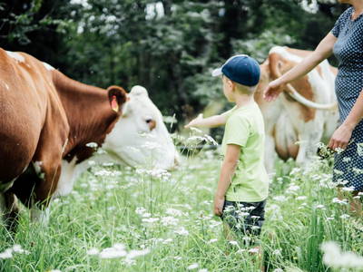 Bild 117 aus  Bio-Bergbauernhof Weger, vlg. Rübenstöffl