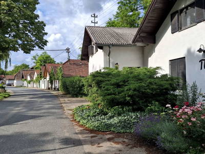 Bild 83 aus Ferienhaus Weinviertel