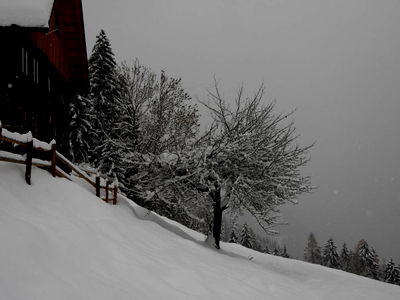 Bild 56 aus Berghütte Reissnerhof
