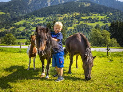 Bild 153 aus  Bio-Bauernhof Schweizerhof