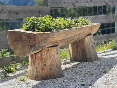 Bild 38 aus  Reiterbauer Chalet