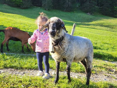 Bild 187 aus  Ausblickhof