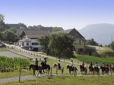 Bild 22 aus  Isländerhof Köck vlg. Kristanhof