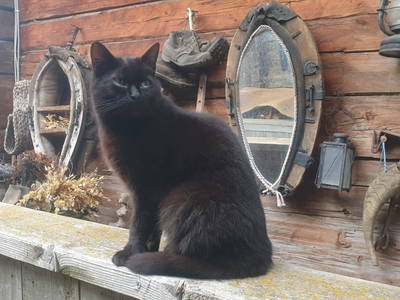 Bild 215 aus  Untererschbaum