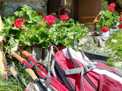 Bild 37 aus  Kinderbauernhof Ierzerhof Pitztal 