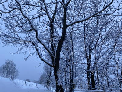 Bild 80 aus  Biohof Kroisleitner