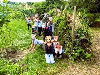 Bild 69 aus  Naturgartenurlaub - Steffis Ferienwohnungen