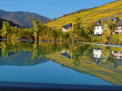 Bild 78 aus  Weingut STRAWANZER Donabaum