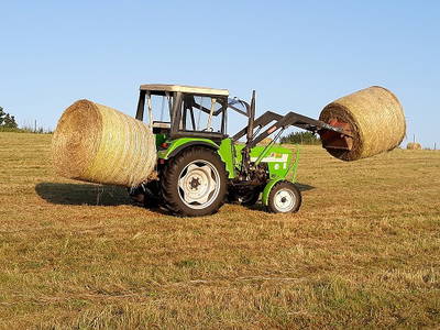 Bild 16 aus  Ferienhof Conrath