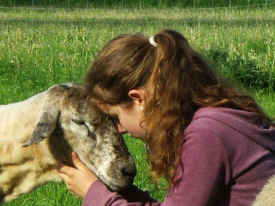 Bild 12 aus  Gut Hohenhain